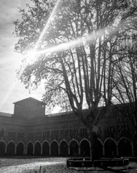 Castello Visconteo Musei Civici Di Pavia castello-visconteo-musei-civici-di-pavia